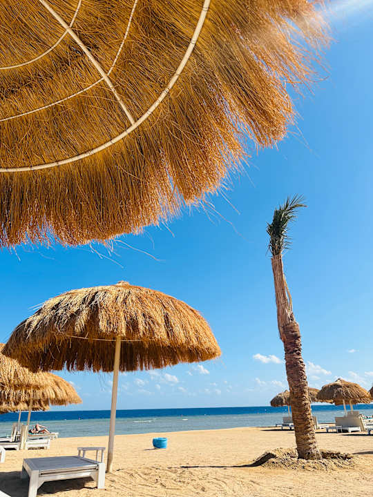 Strand Sentido Reef Oasis Suakin