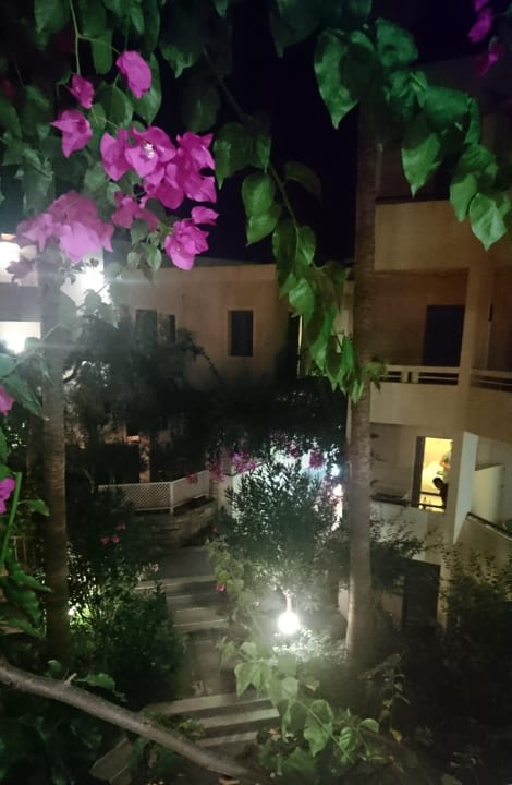 Sonstiges Pearl Beach