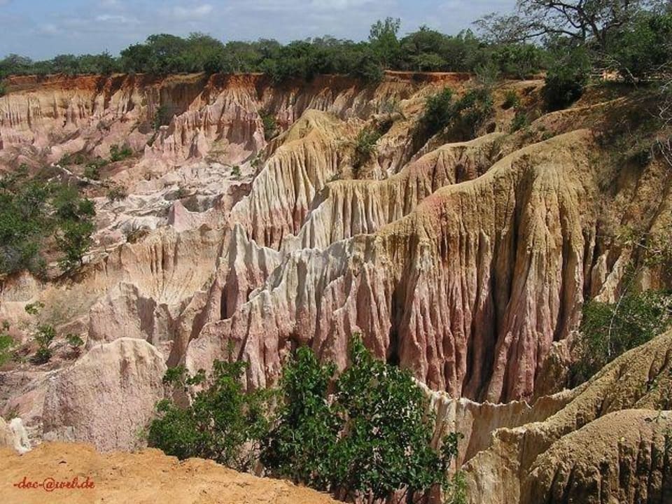 Hell's Kitchen  4 Hotel Traveller's Club