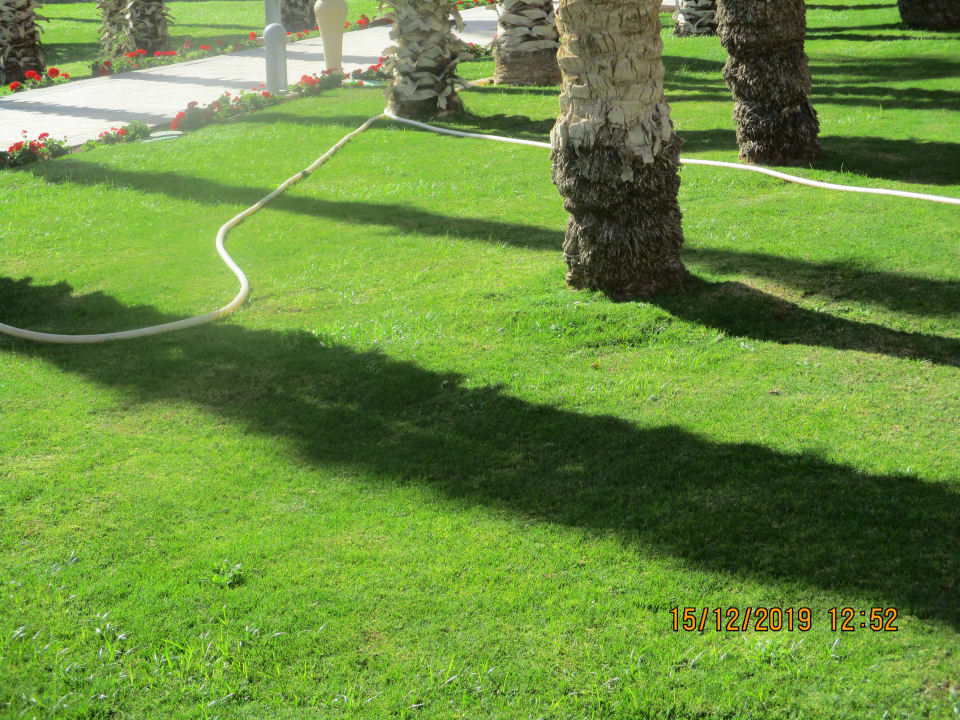 Garten Beach Albatros Resort