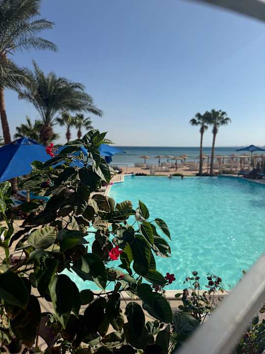 Pool Shams Prestige Abu Soma-Adults Only