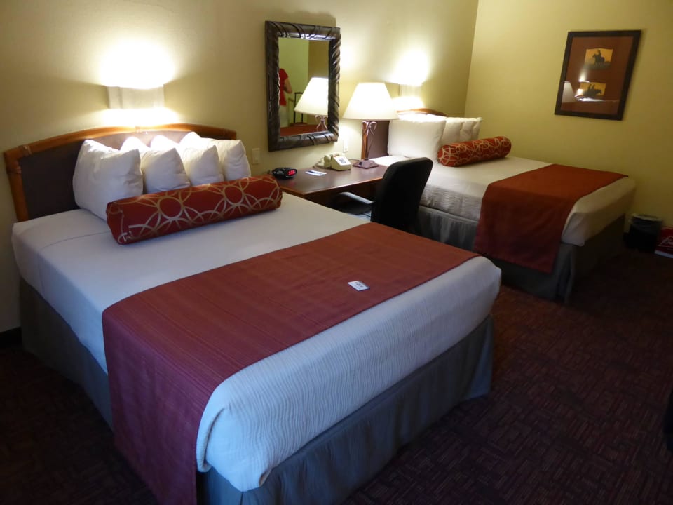 Blick zum Doppelbett Best Western Plus Hotel Inn of Williams