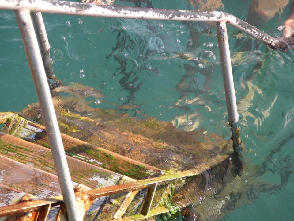 Treppe zum Steg Club Hotel Mirabell