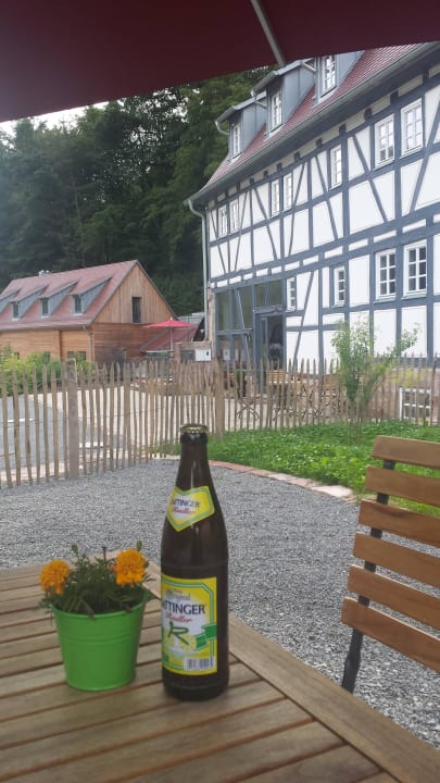 Blick zu Rezeption Baumhaushotel Seemühle