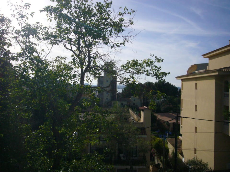 Blick vom Dach Richtung Strand. Hostel Don Carlos