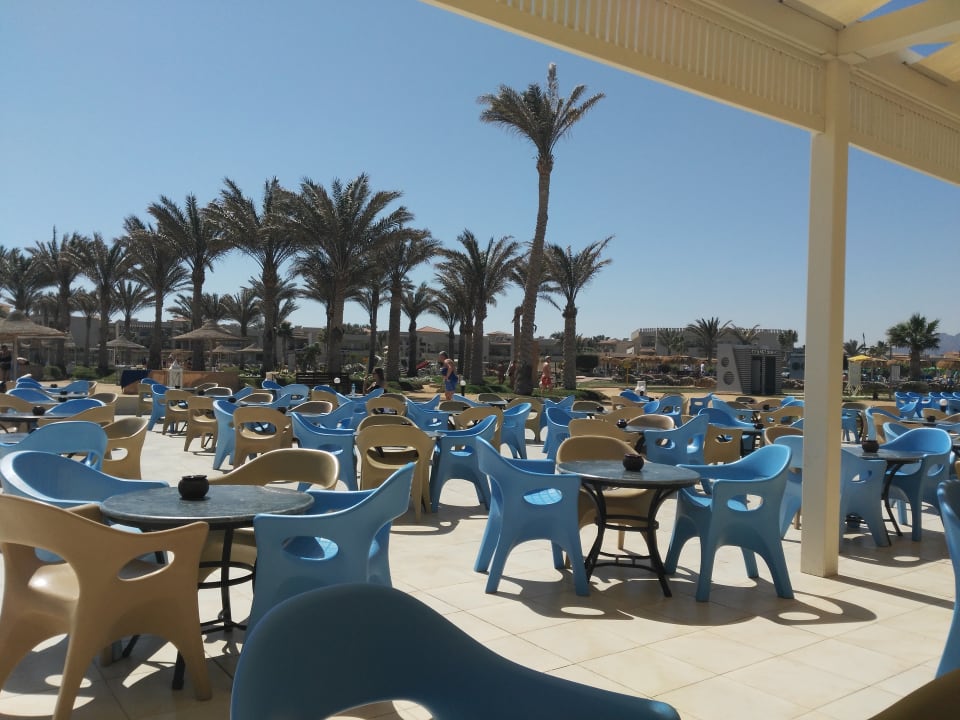 Restaurant Pickalbatros Royal Moderna Resort-Sharm El Sheikh