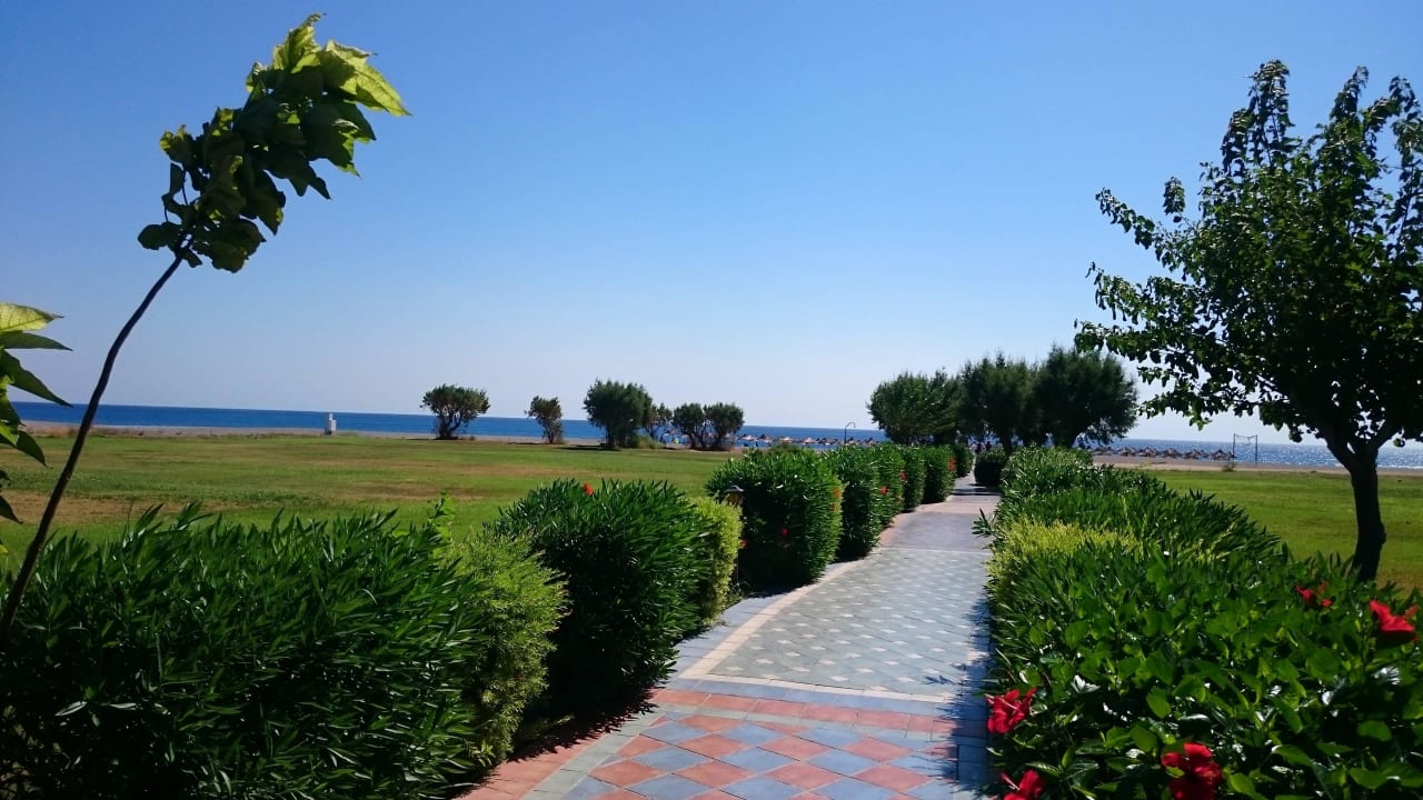 Der Meerblick  Atrium Palace Thalasso Spa Resort & Villas