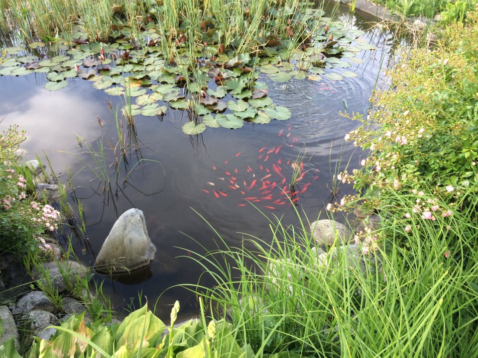 Garten  Privatzimmer Freiinger