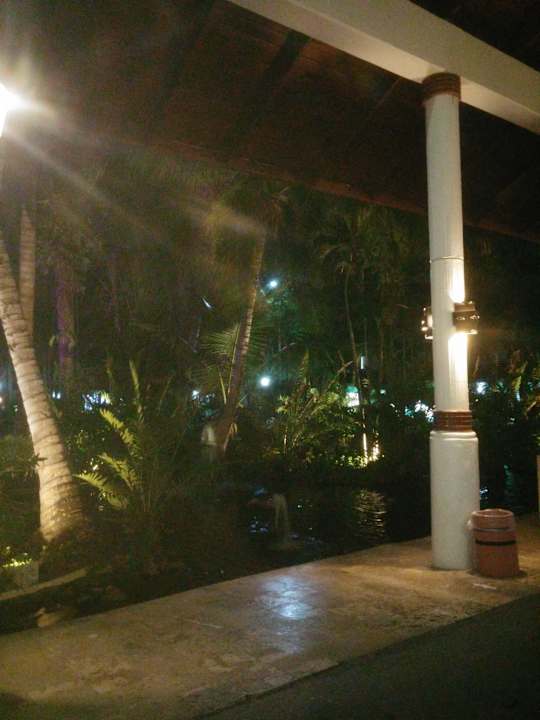 Gartenanlage Hotel Grand Palladium Palace Resort, Spa & Casino