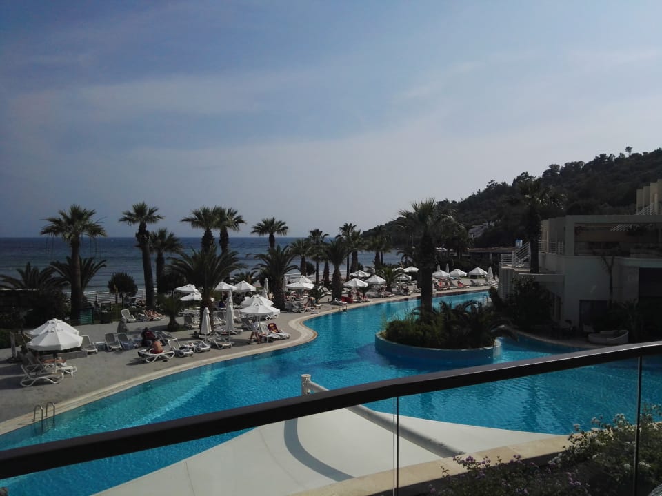 Vom Zimmer aus Paloma Pasha