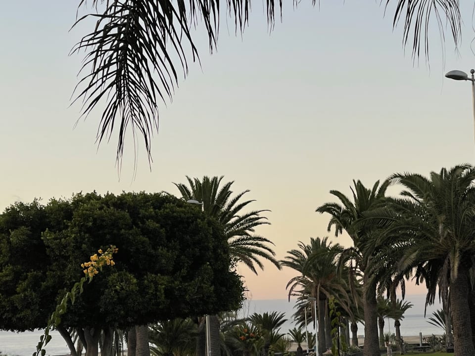 Ausblick Nogal Appartements - Adults only