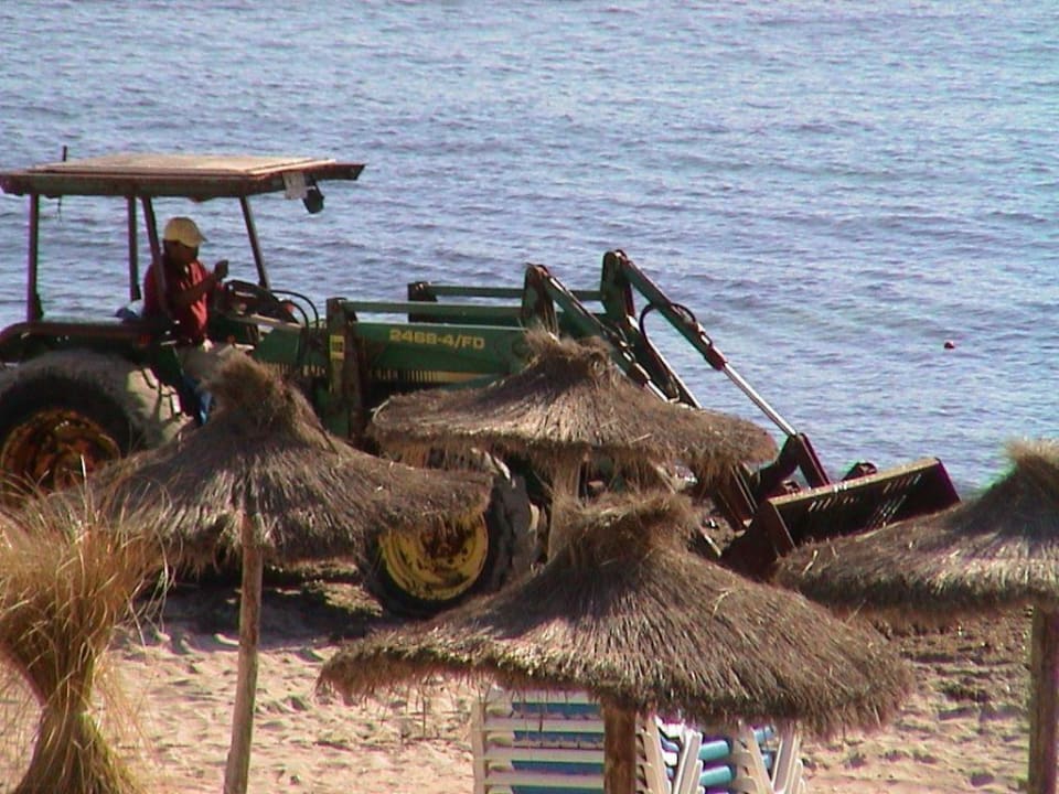 Strand am Hotel , Hotel Club S'Illot