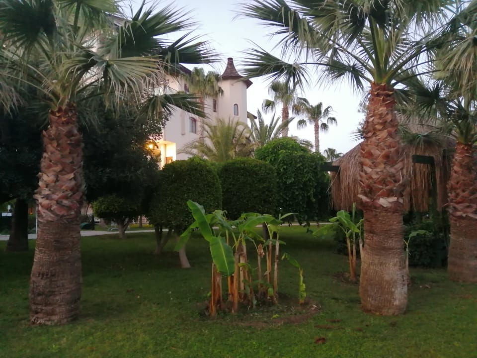 Gartenanlage Bella Resort & Spa