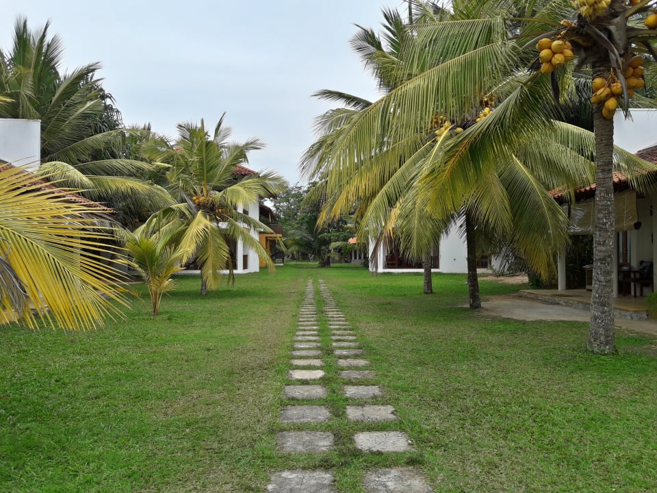 Gartenanlage Hotel Muthumuni Ayurveda Beach Resort