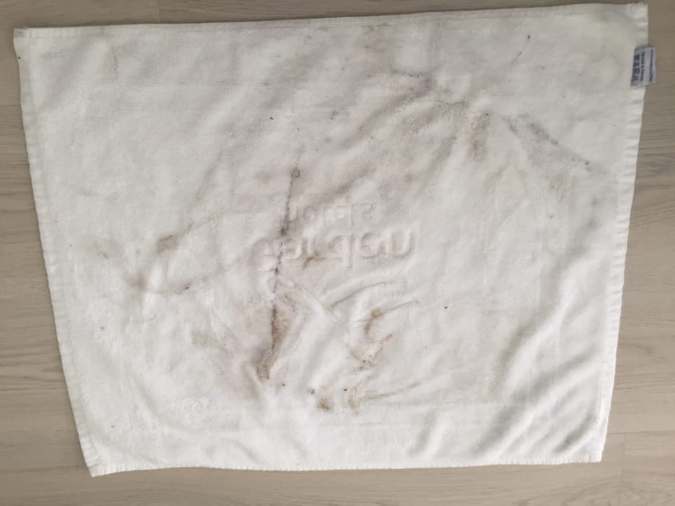 Zimmer Alcudia Garden Aparthotel