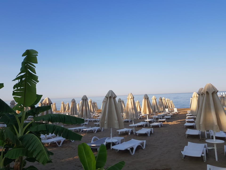 Strand Seaden Corolla Hotel