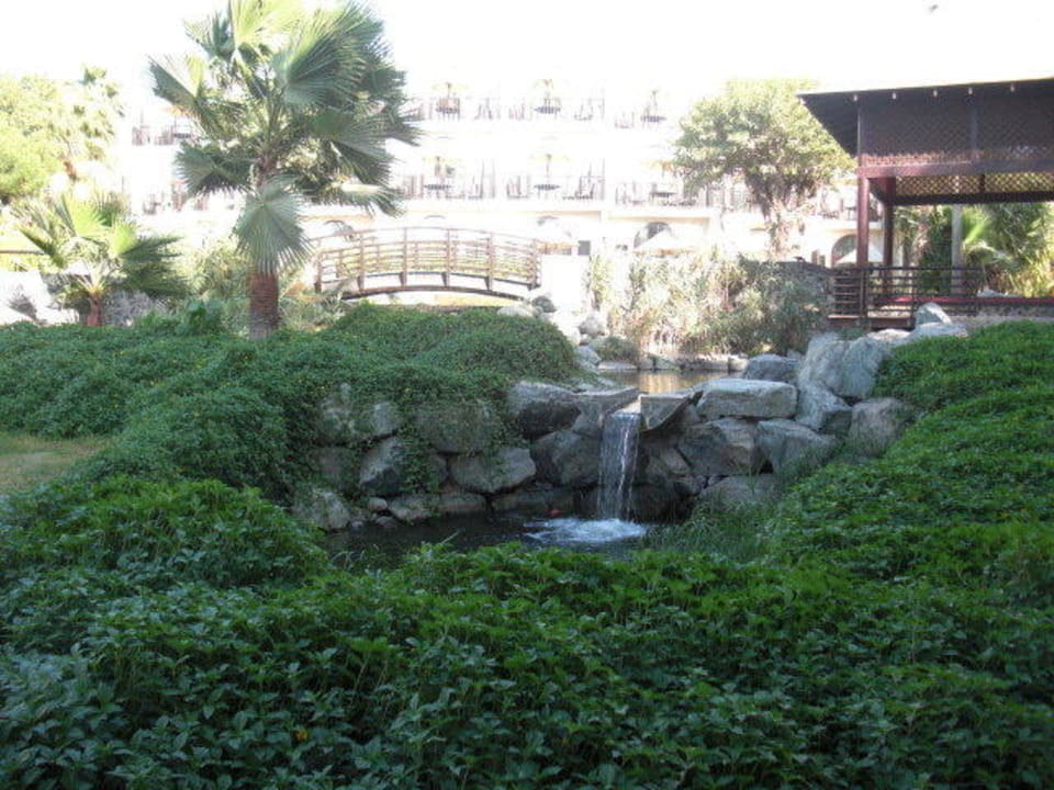 Sicht auf die schöne Flußlandschaft im Garten JA Palm Tree Court