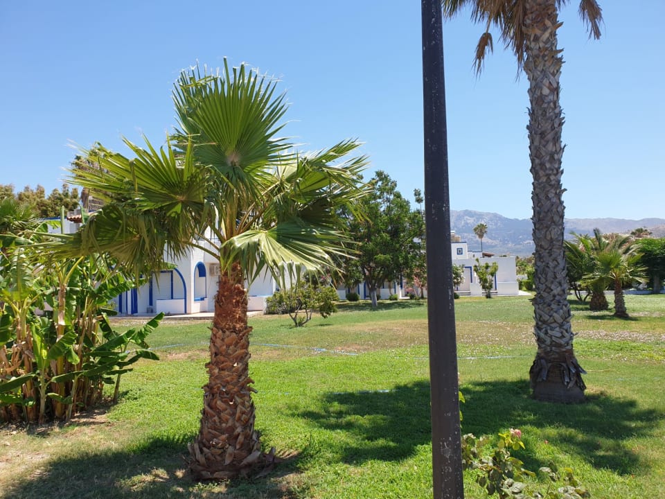Gartenanlage Hotel Tigaki's Star