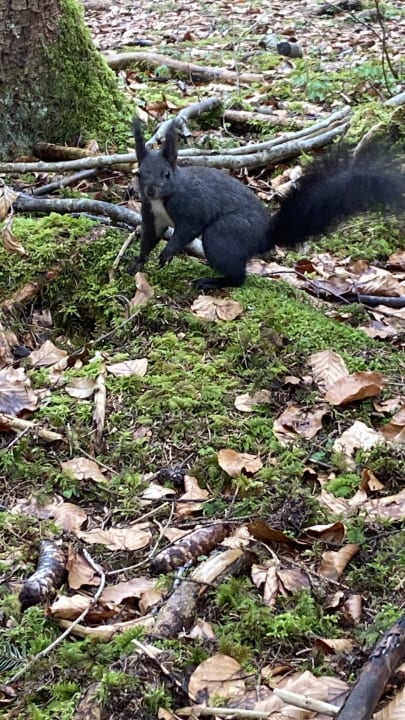 Gartenanlage Parkhotel Burgmühle