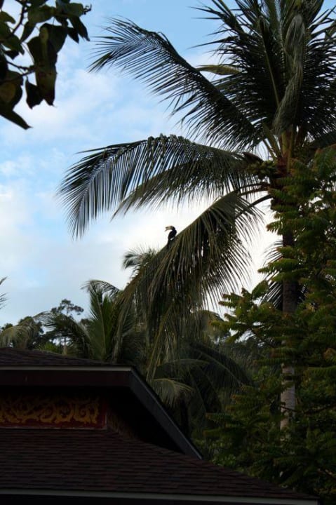 Dukan Koh Hai Fantasy Resort & Spa