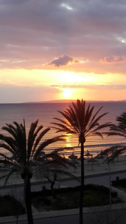 Ausblick Myseahouse Flamingo - Adults only