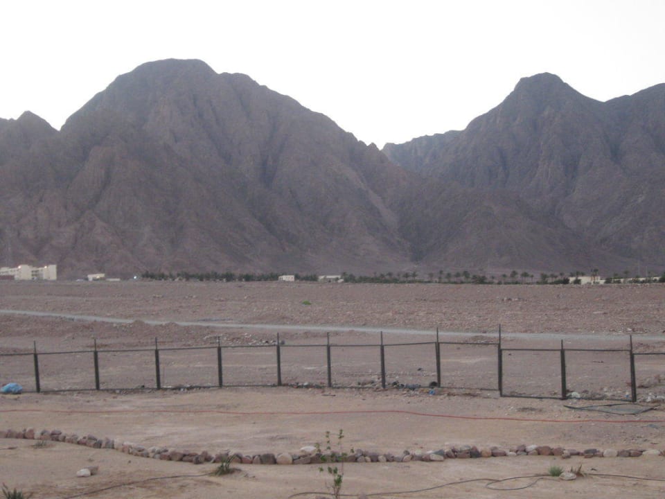 Widok z pokoju  Hotel Swiss Inn Dream Resort Taba