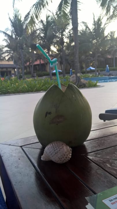 Toller Cocktail Pandanus Resort