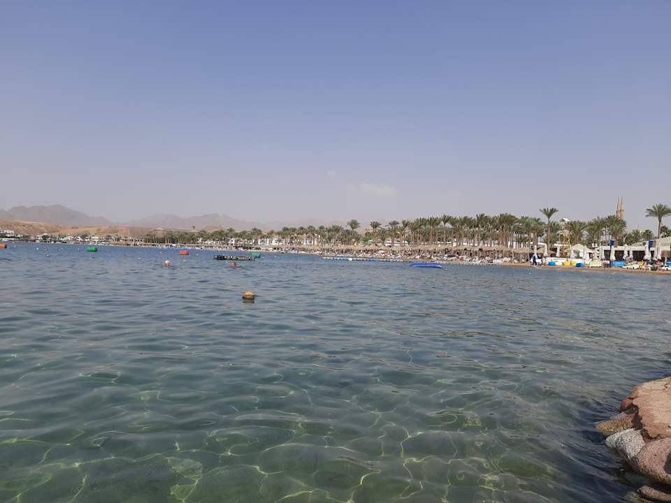 Sonstiges Pickalbatros Aqua Blu Resort - Sharm El Sheikh