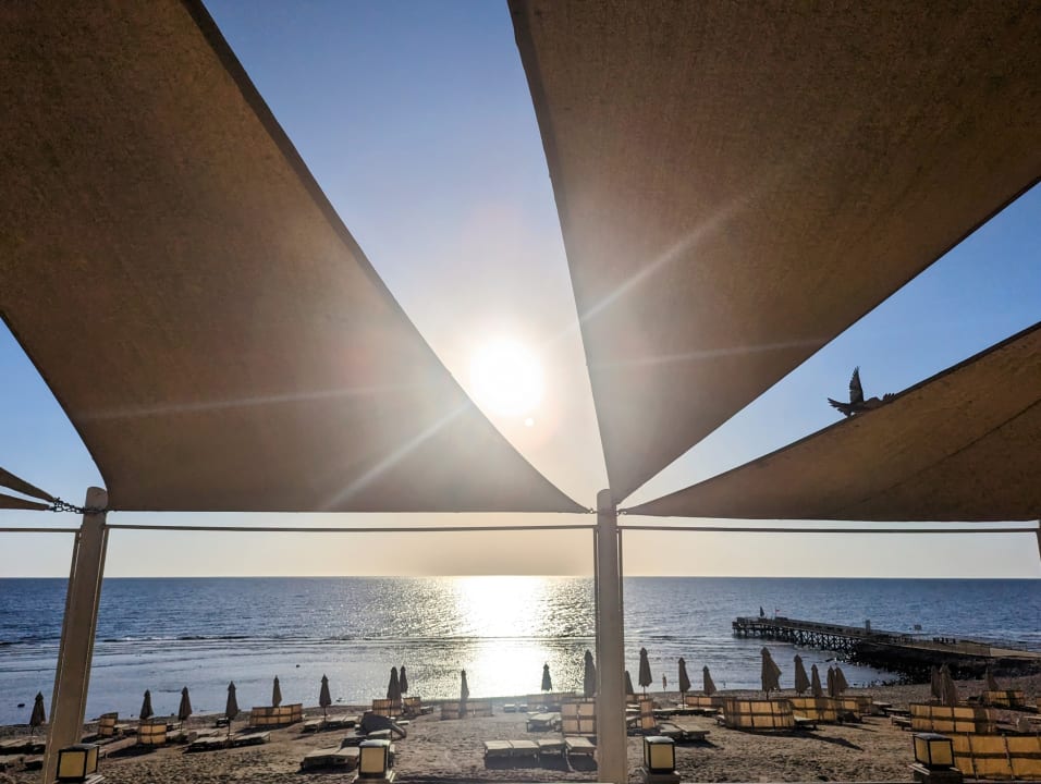 Strand Serenity Alpha Beach