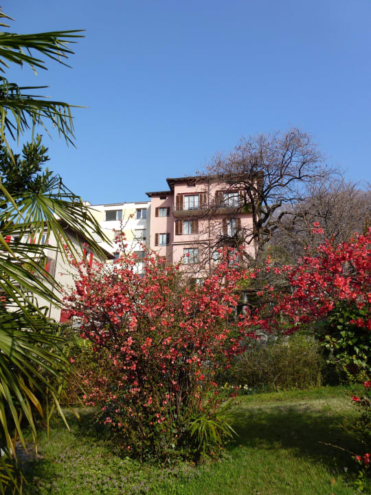 Aussenaufnahme Hotel Annita