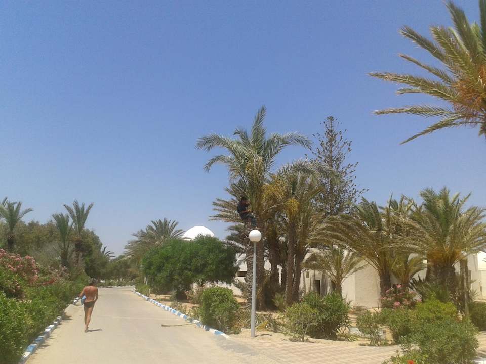 Weg zm Außenrestaurant Hotel El Mouradi Djerba Menzel