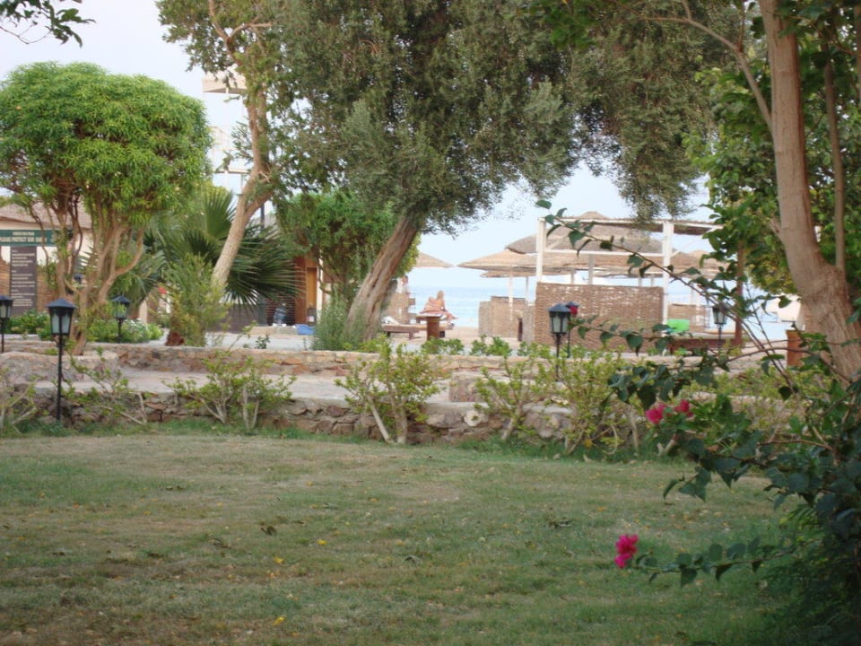 Unser Blick vom Zimmer Eagles Paradise Abu Soma