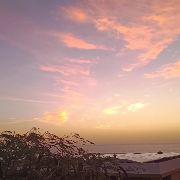 Ausblick Occidental Jandía Royal Level - Adults only