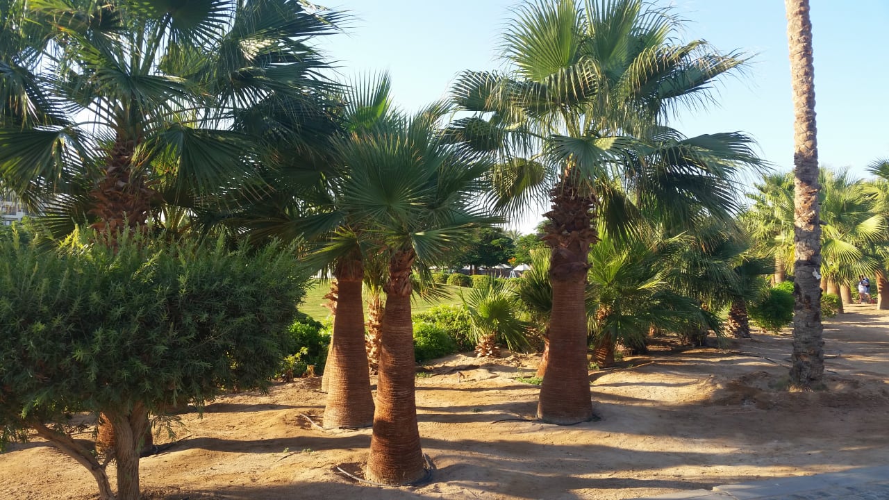 Gartenanlage Steigenberger Aqua Magic