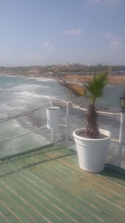 Steg Hotel Turan Prince