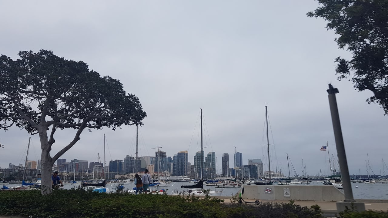 Ausblick Best Western Plus Island Palms Hotel & Marina