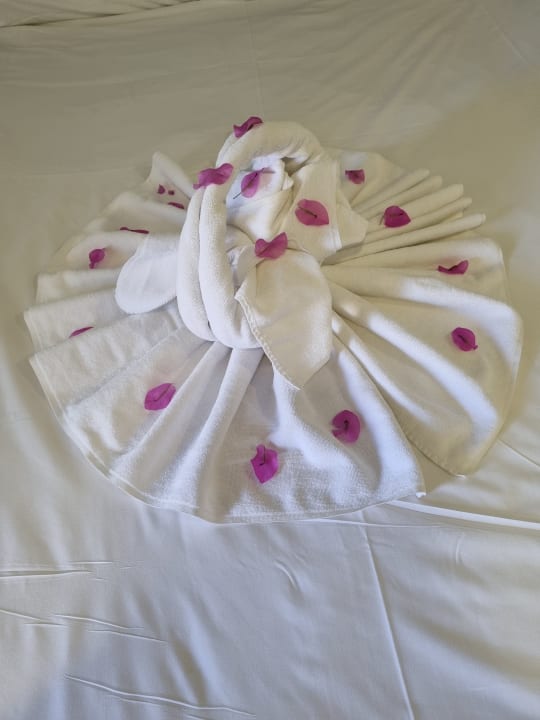 Zimmer Hotel Delphin Diva