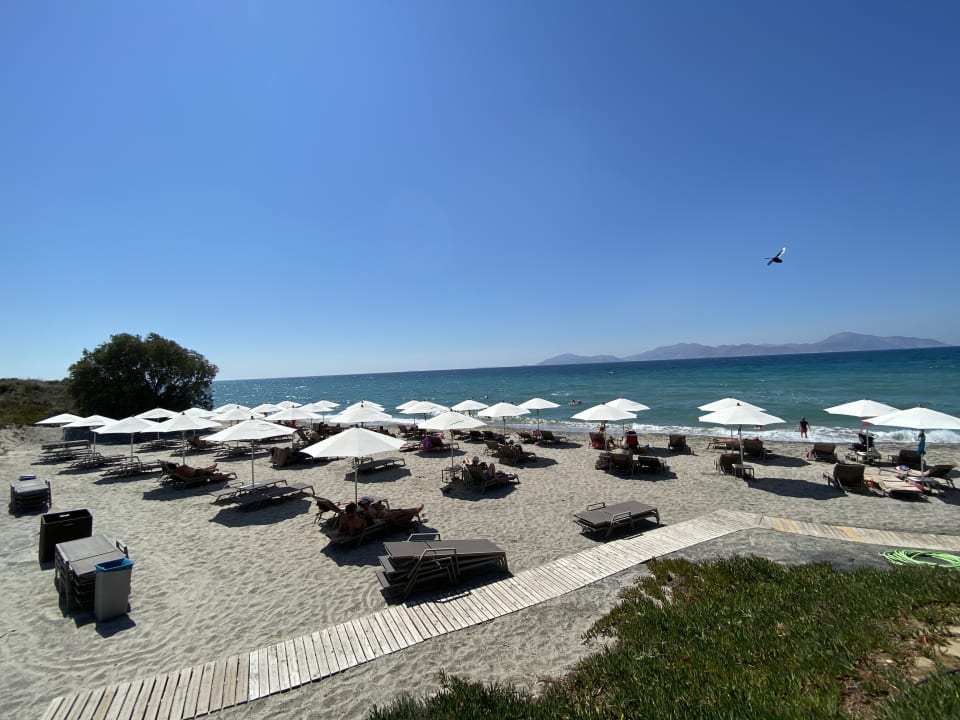 Strand Neptune Luxury Resort