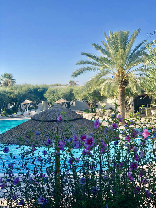 Außenansicht TUI KIDS CLUB Alex Beach