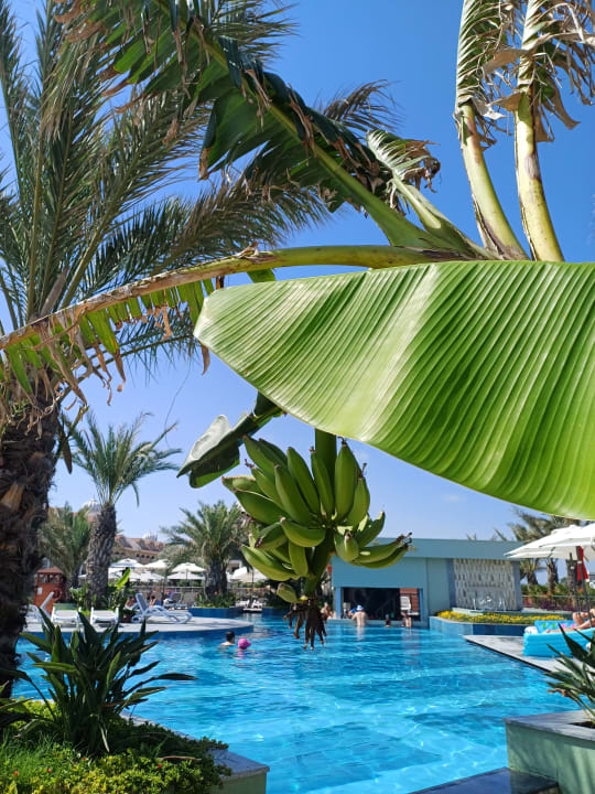 Pool Kirman Belazur Resort & Spa