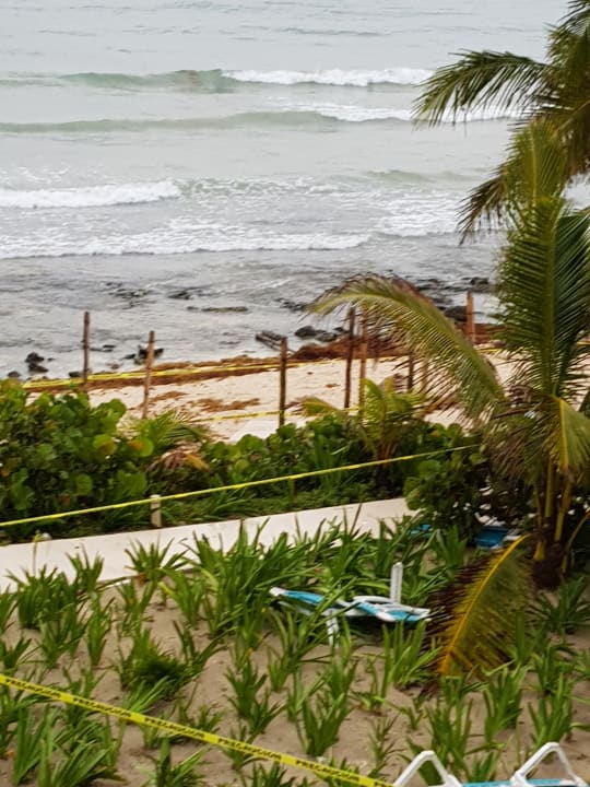 Gartenanlage Akumal Bay Beach & Wellness Resort