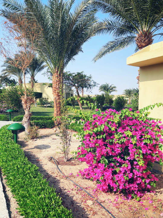 Gartenanlage Three Corners Fayrouz Plaza Beach Resort
