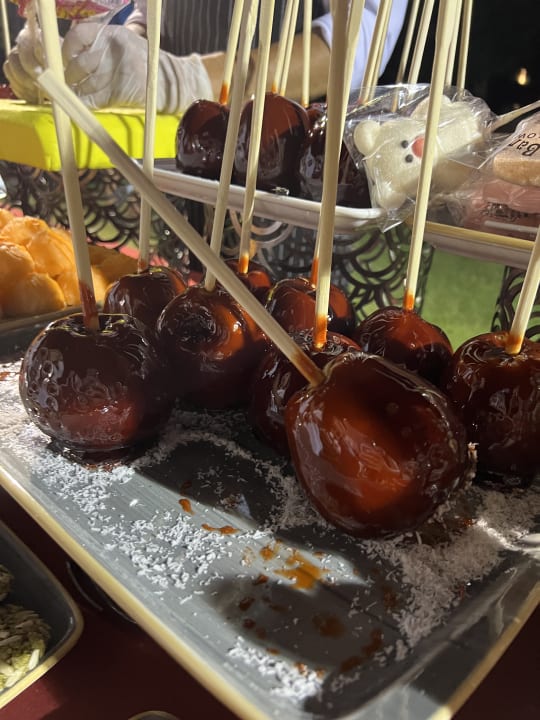 Gastro Papillon Ayscha