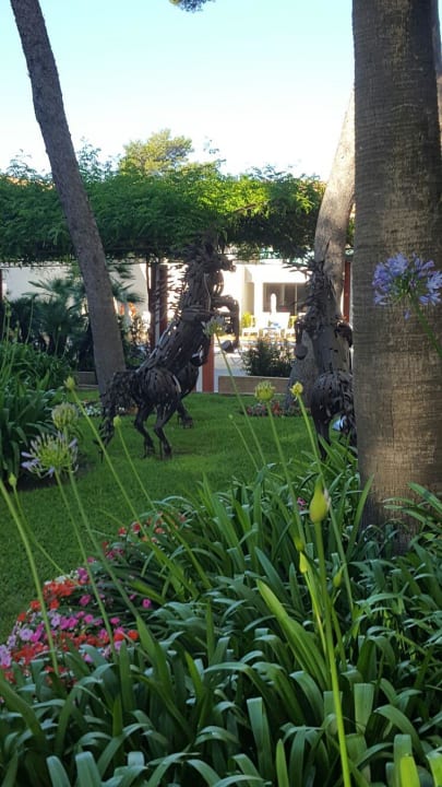 Garten  Zafiro Bahia