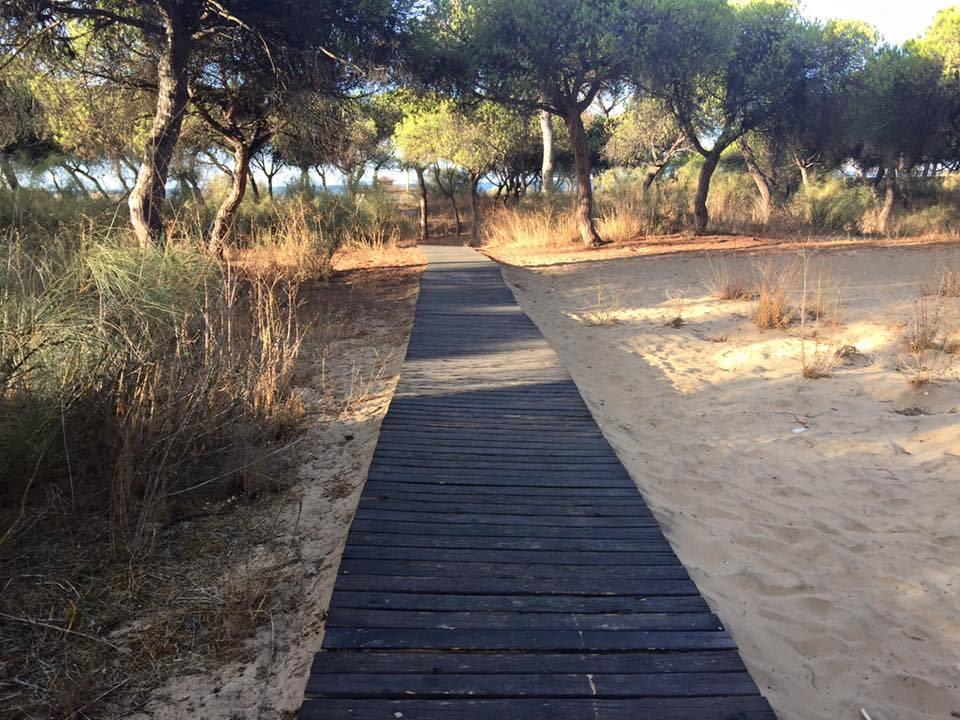 Weg vom Hotel zum Strand TUI BLUE Isla Cristina Palace