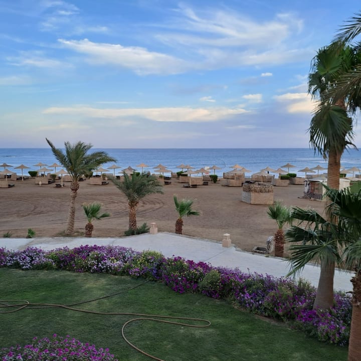 Ausblick Shams Alam Beach Resort
