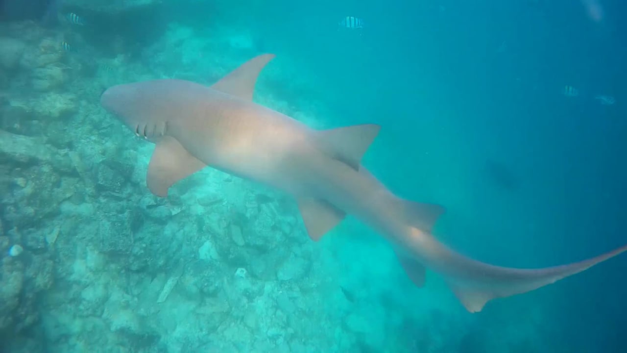 Sport & Freizeit Summer Island Maldives