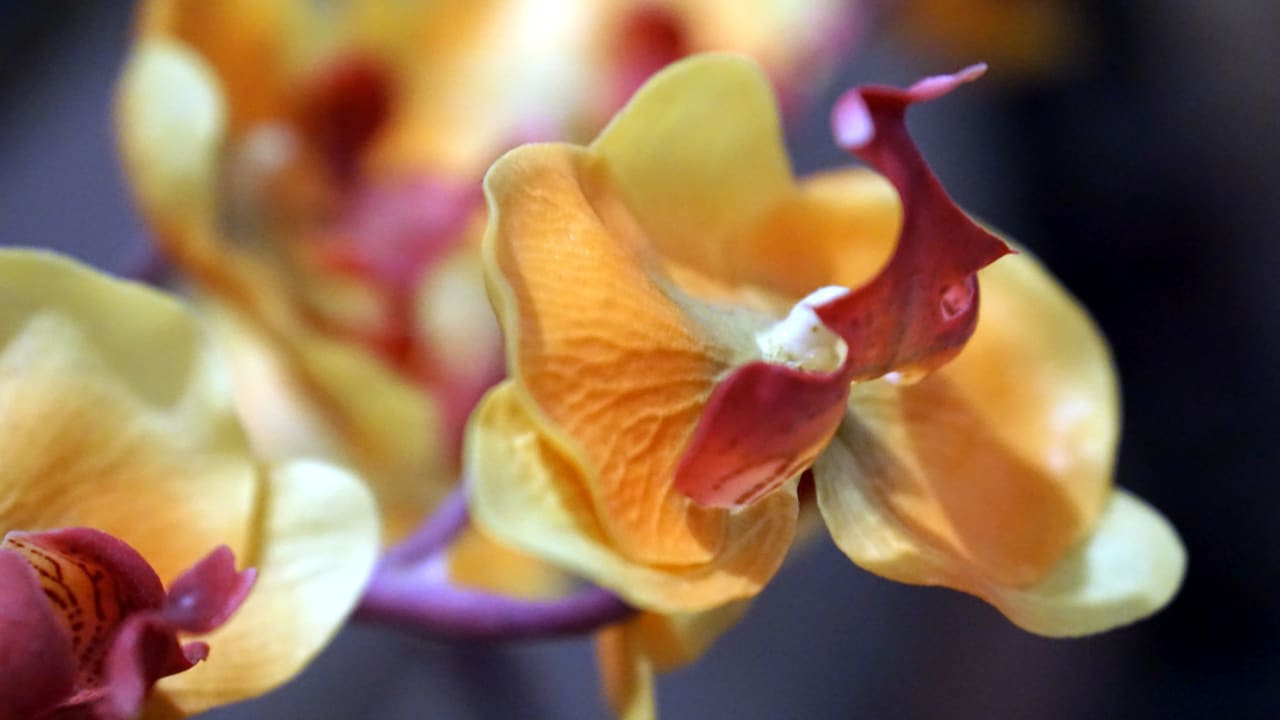 Sonstiges Grand Mercure Bangkok Asoke Residence