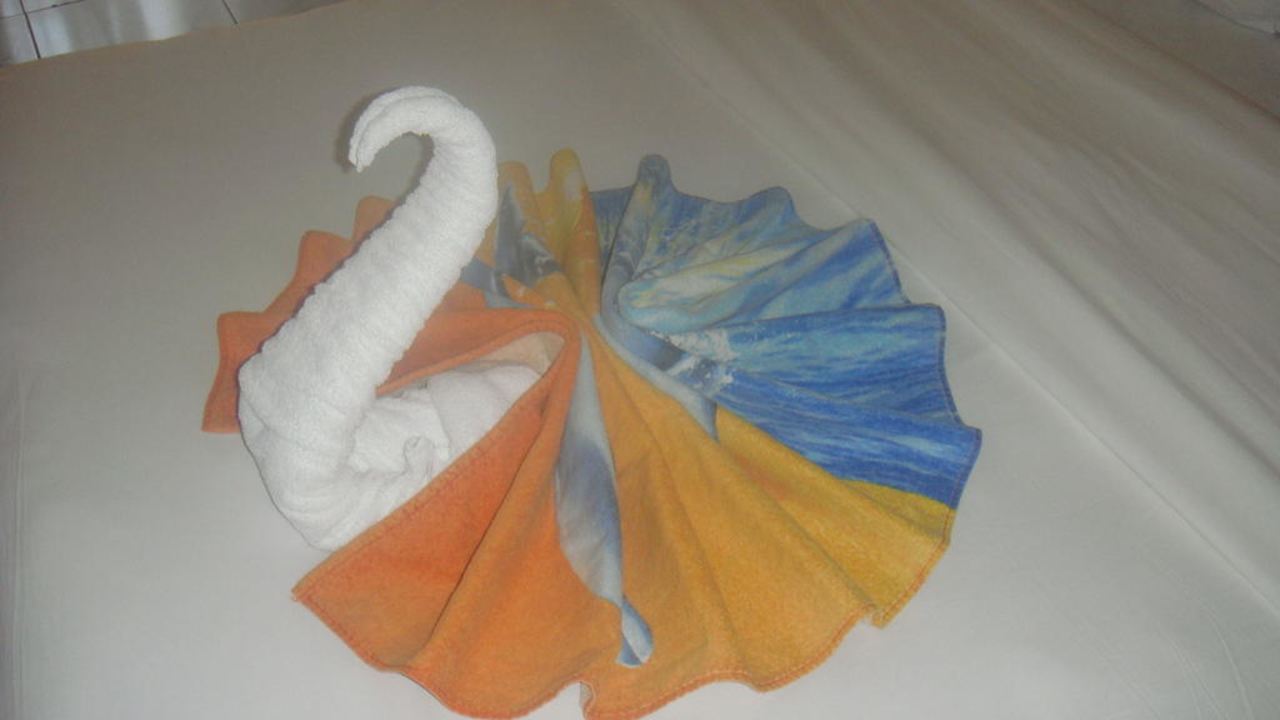 Schöner Schwan vom room boy gezaubert Ghazala Gardens