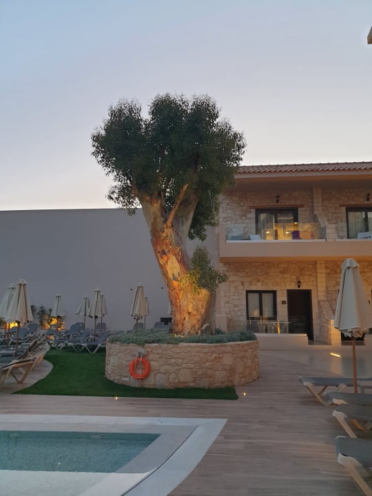 Gartenanlage Cactus Royal